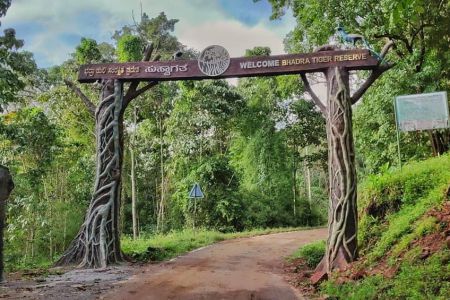 Bhadra Wildlife Sanctuary - Tempo Traveller Mangalore