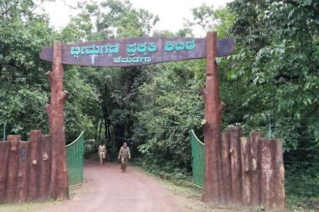 Bhimgad Wildlife Sanctuary - Tempo Traveller Mangalore