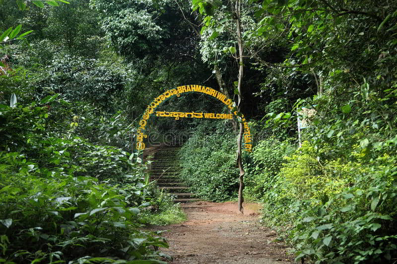 Brahmagiri Wildlife Sanctuary - Tempo Traveller Mangalore