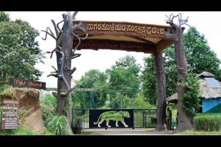 Nagarahole National Park - Tempo Traveller Mangalore